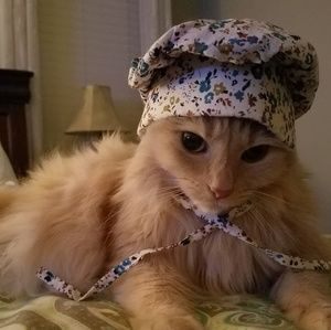 Meet your Posher, Mia